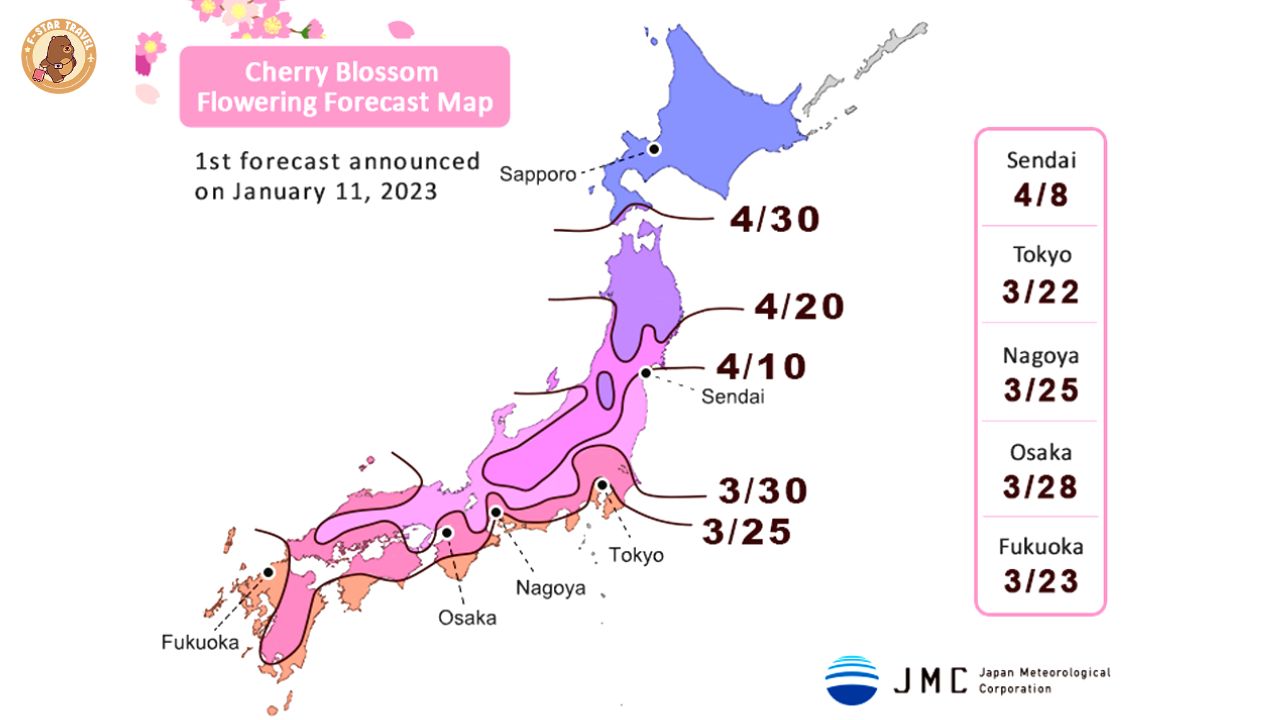 พยากรณ์ซากุระญี่ปุ่น 2023 โดย บริษัท Japan Meteorological Co., Ltd