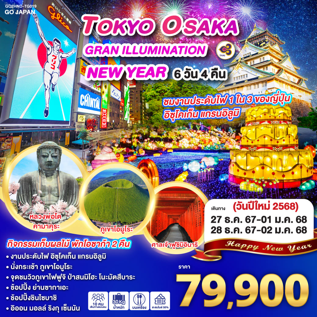 ทัวร์ญี่ปุ่น TOKYO OSAKA GRAN ILLUMINATION NEW YEAR 6วัน 4คืน (TG)