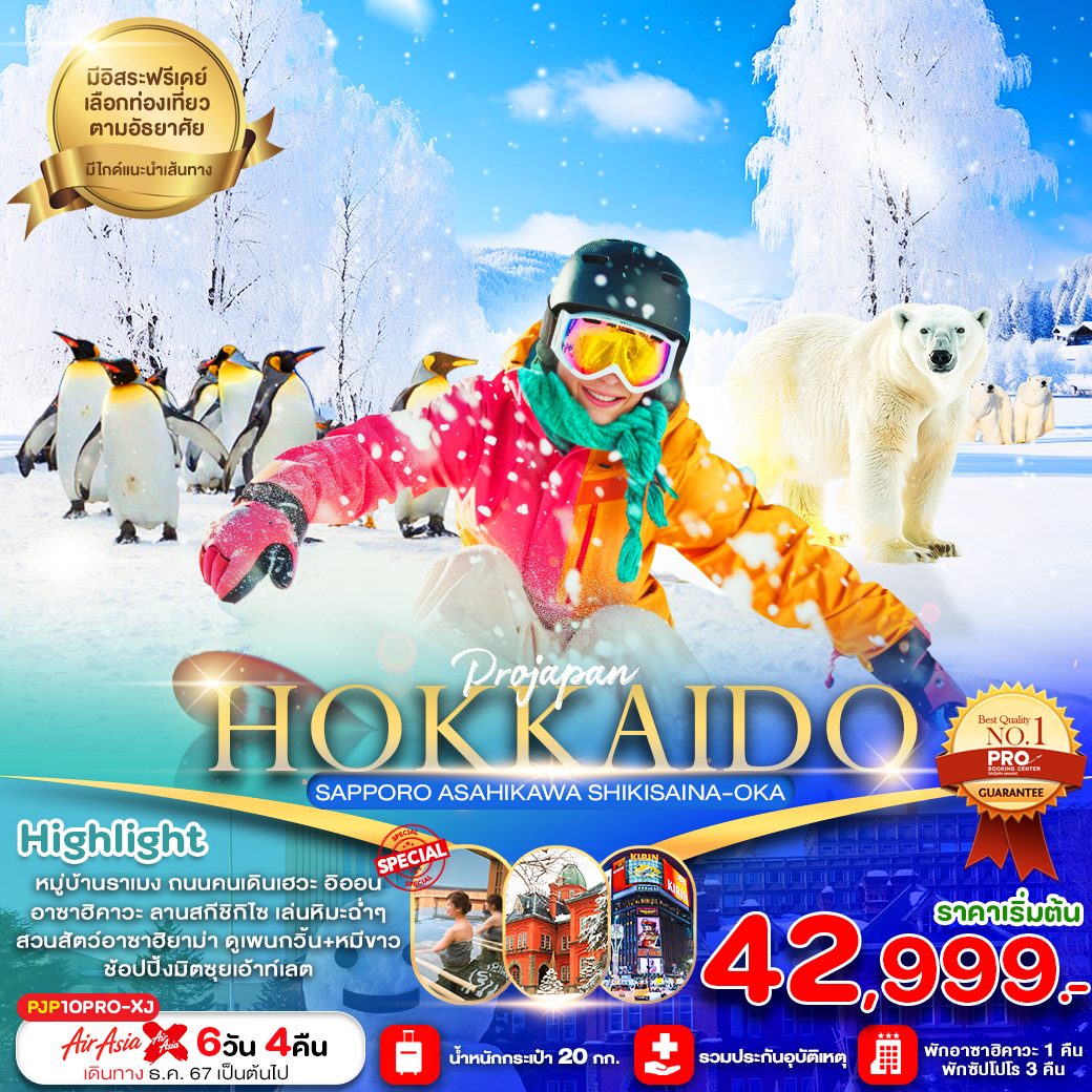 ทัวร์ญี่ปุ่น HOKKAIDO SAPPORO ASAHIKAWA SHIKISAINA-OKA 6วัน 4คืน (XJ)