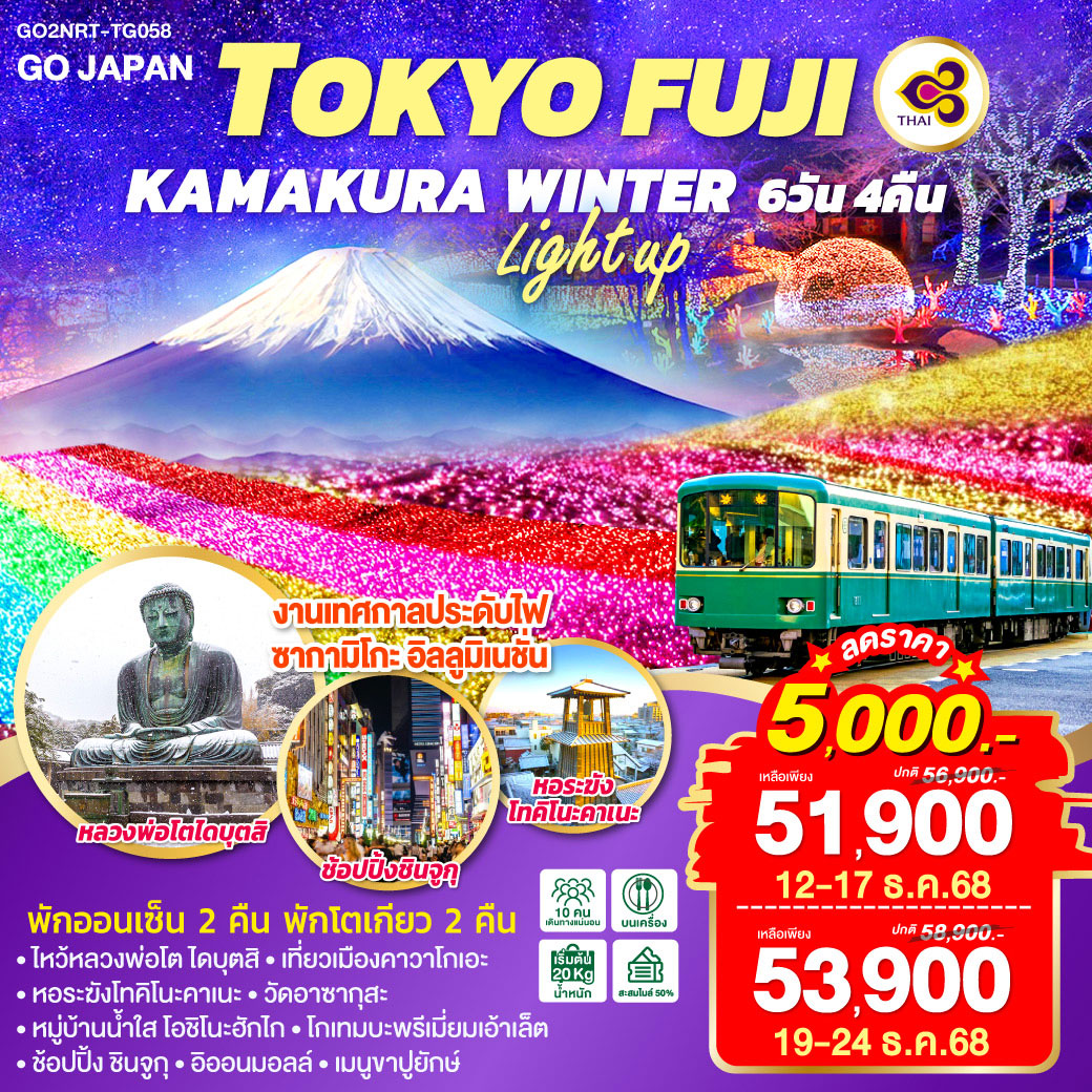 ทัวร์ญี่ปุ่น TOKYO FUJI KAMAKURA WINTER LIGHT UP 6วัน 4คืน (TG)